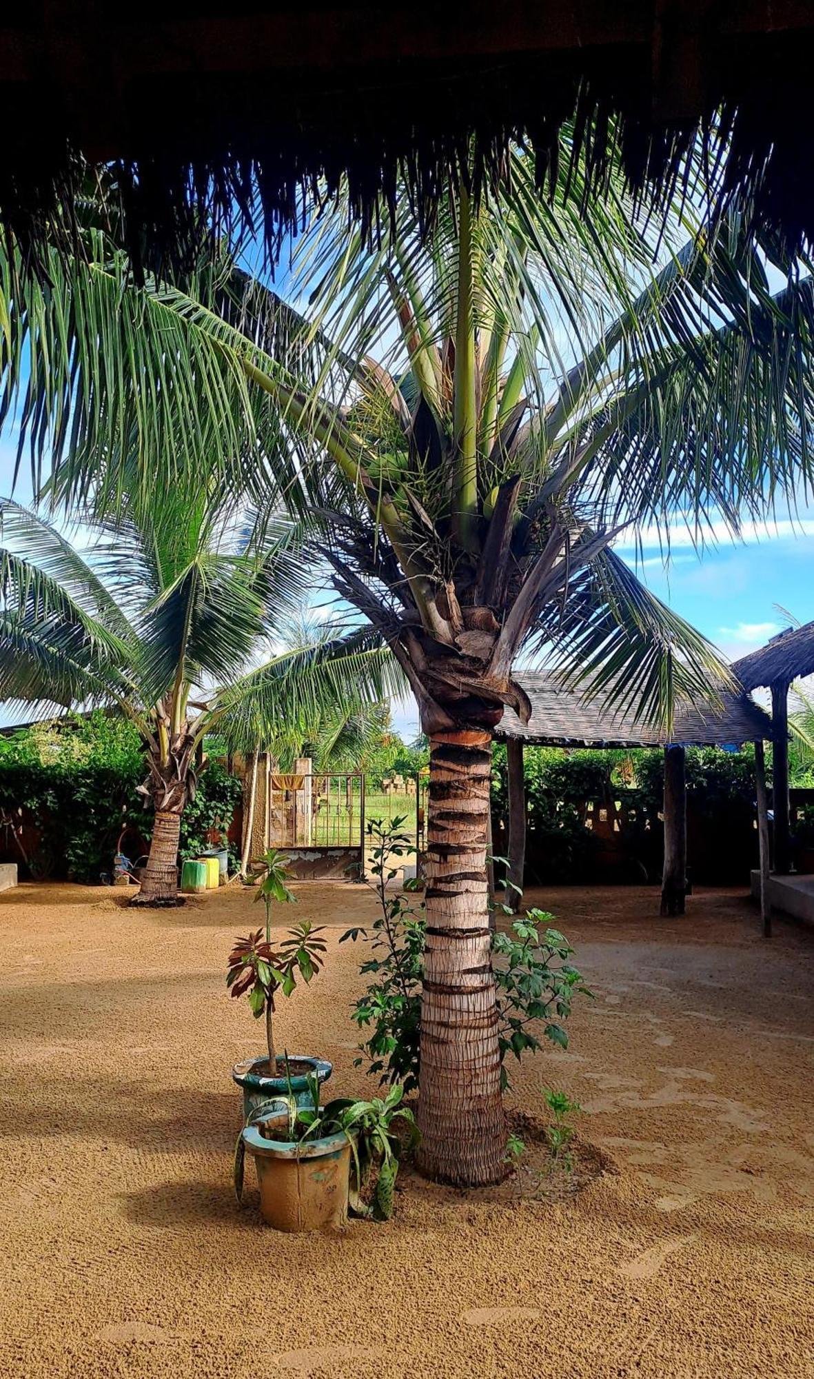 Nguel Du Saloum - Chez Abdou Et Mar Hotel Mar Lodj Bagian luar foto