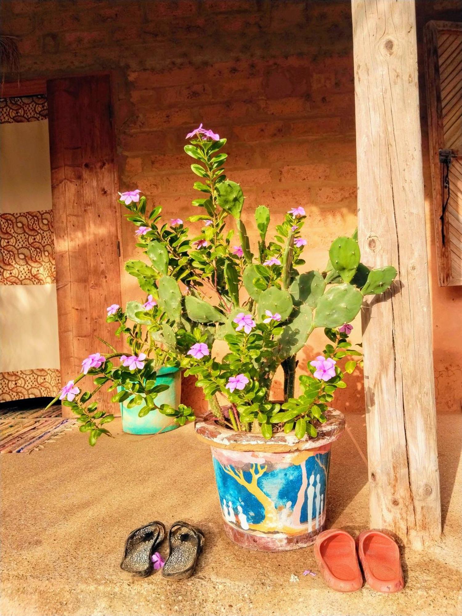 Nguel Du Saloum - Chez Abdou Et Mar Hotel Mar Lodj Bagian luar foto